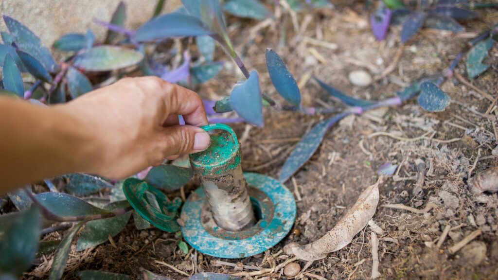 Handing pulling a termite bait station out of the ground.