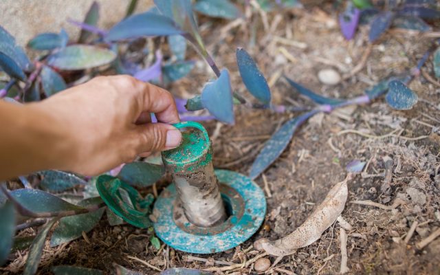 Handing pulling a termite bait station out of the ground.