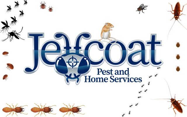 Jeffcoat logo surrounded by BUGS.