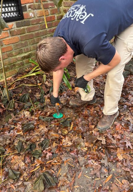 guaranteed-termite-treatments-columbia-sc Jeffcoat tech adjusting a green bait station in wet leaves near a brick wall, wearing black gloves.