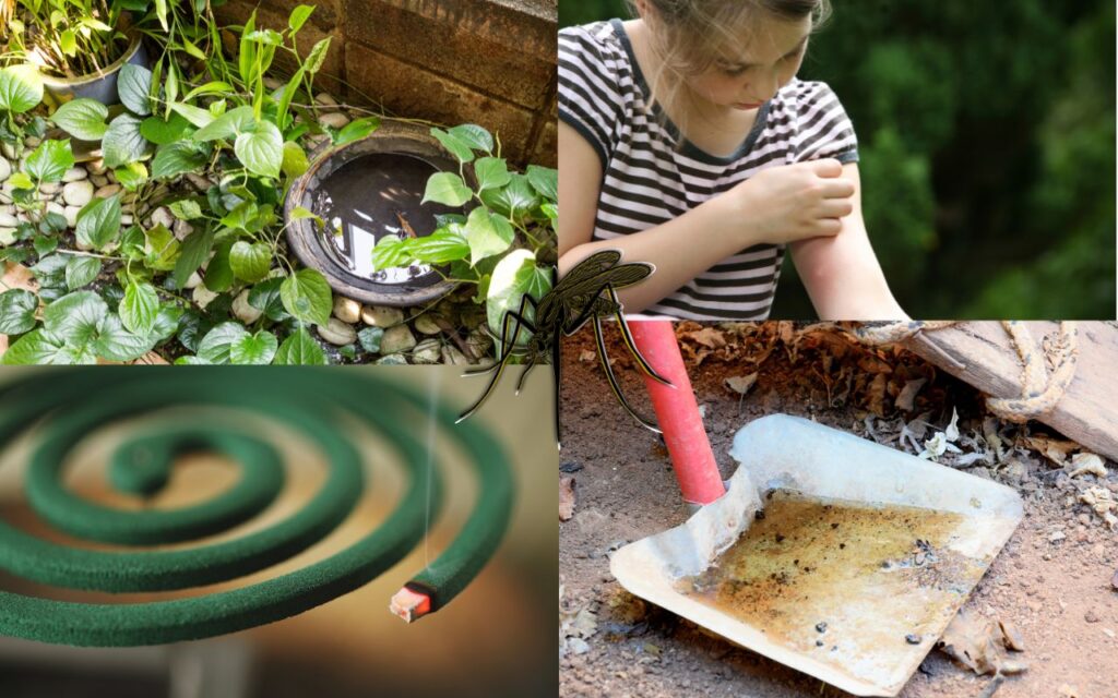 Collage showing mosquito prevention: stagnant water in a garden, person scratching a bite, mosquito coil, and dirty dustpan.