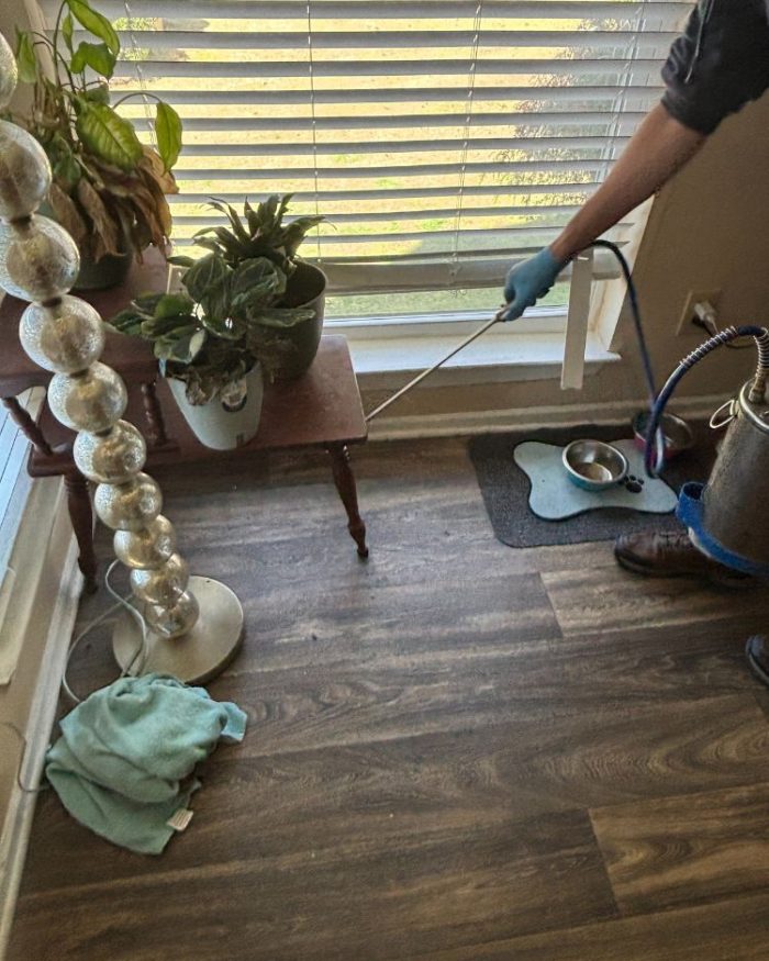 Jeffcoat tech applying liquid treatment to wooden flooring near a wall outlet in a sunlit room with plants and pet items.