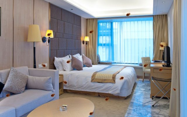 Modern hotel room with digitally superimposed bed bugs on bed, sofa, desk, walls, and floor, illustrating infestation risk