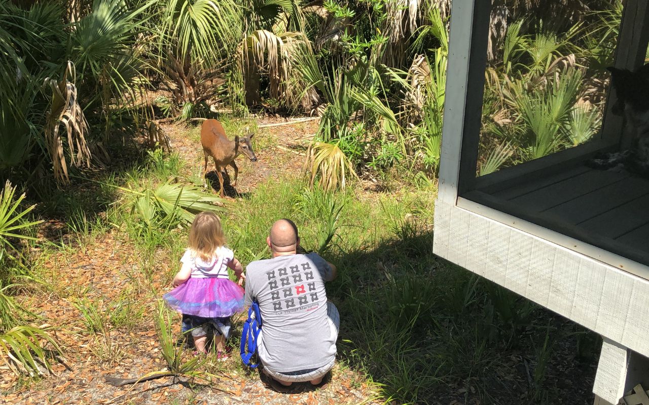 yard-hot-spots-wild-animals-fleas-pest-control-midlands-sc Man crouching with leash and young girl standing in colorful dress observing deer in wooded clearing; cat watches from porch near building.