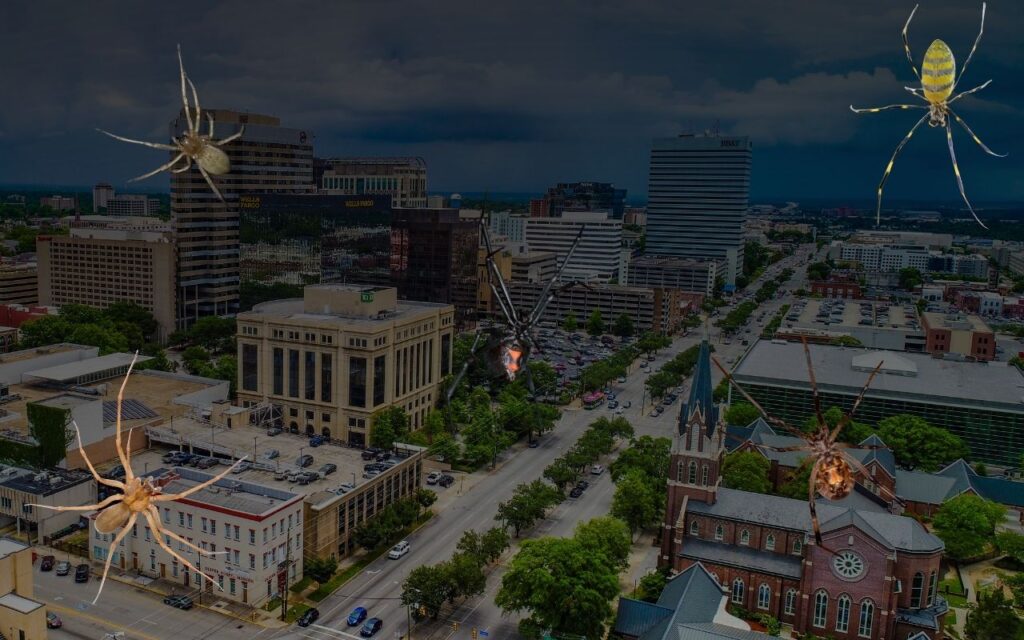 Venomous Spiders in Columbia, SC 9 A arial view of Columbia SC with 5 venomous spiders imposed on image.