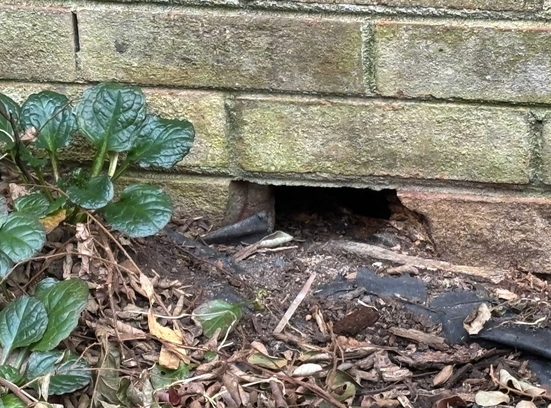 Missing brick in exterior wall.